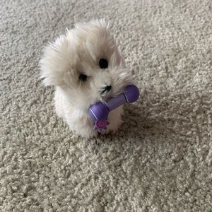 Julie Albright’s Dog